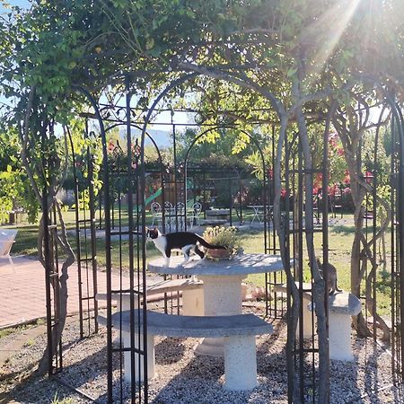 Gite En Provence "Rose" Modene エクステリア 写真