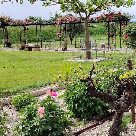 Gite En Provence "Rose" Modene エクステリア 写真
