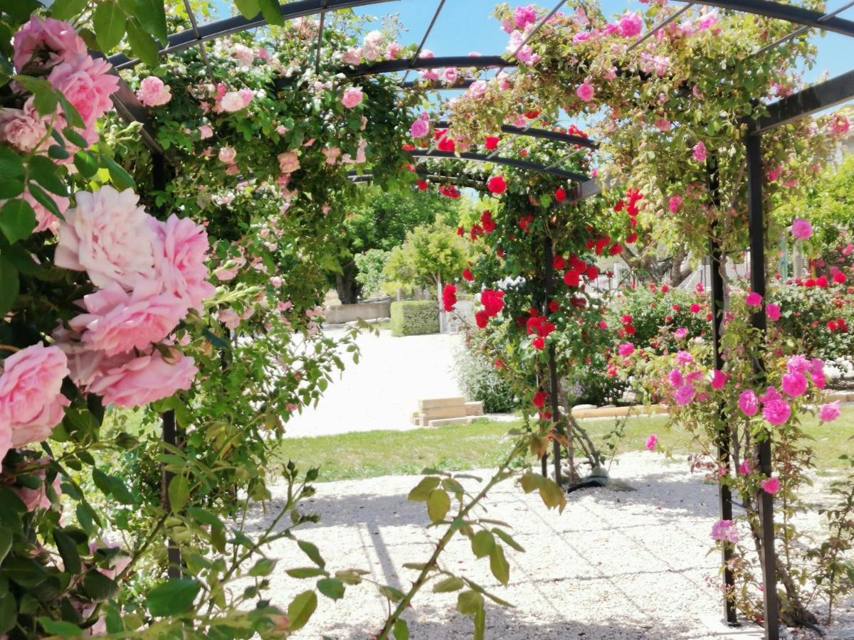 Gite En Provence "Rose" Modene エクステリア 写真