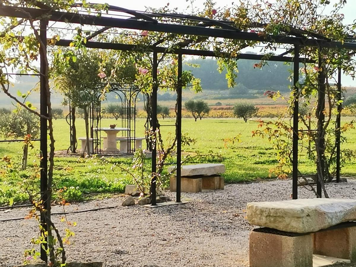 Gite En Provence "Rose" Modene エクステリア 写真