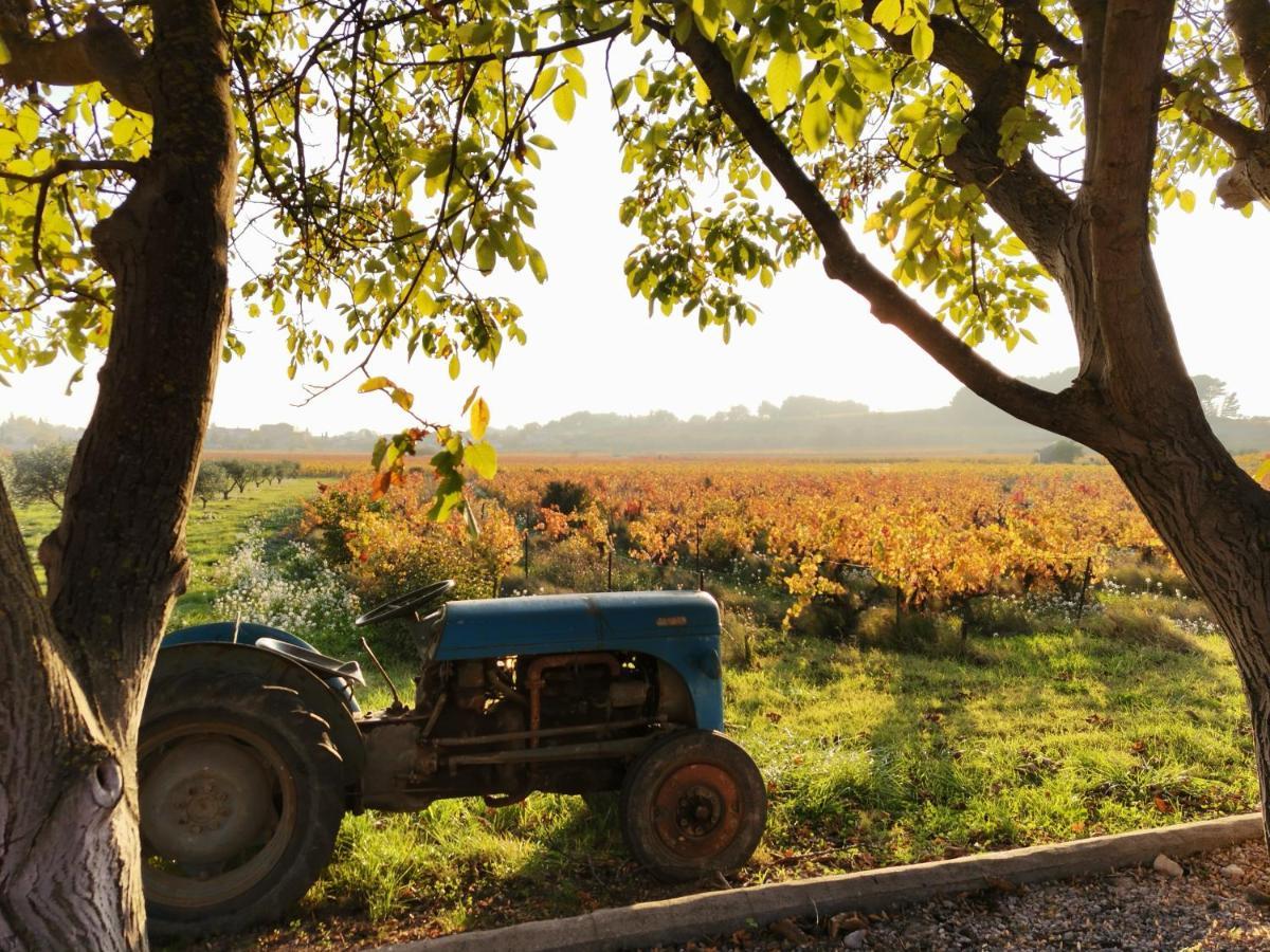 Gite En Provence "Rose" Modene エクステリア 写真