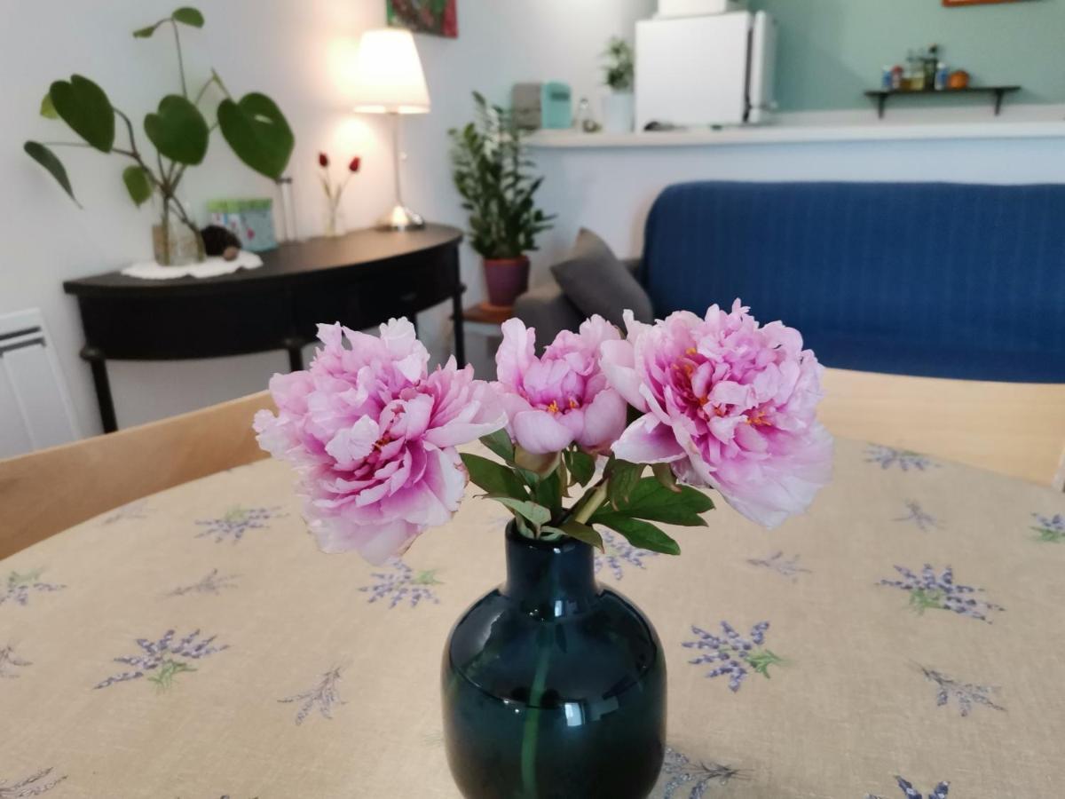 Gite En Provence "Rose" Modene エクステリア 写真