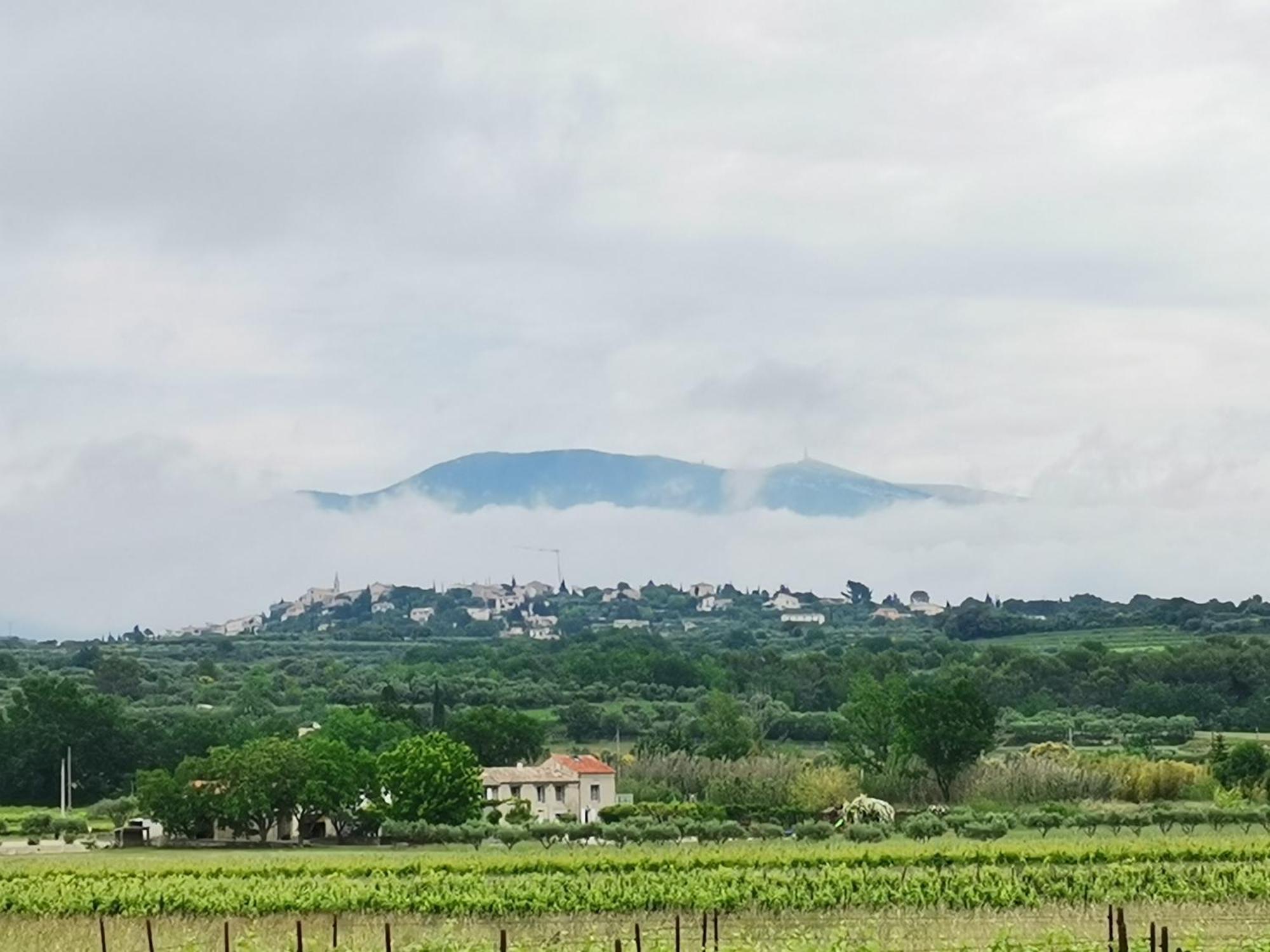 Gite En Provence "Rose" Modene エクステリア 写真