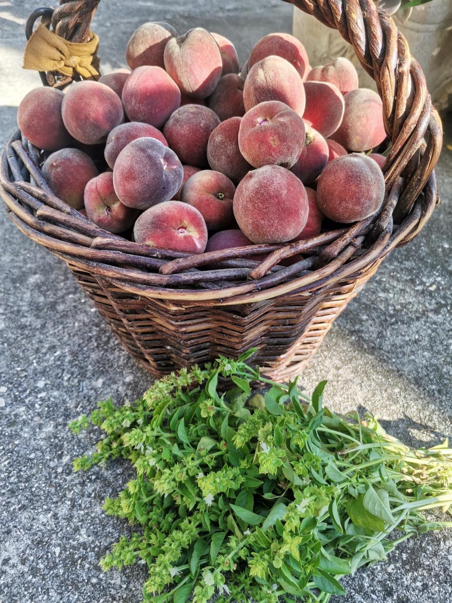 Gite En Provence "Rose" Modene エクステリア 写真