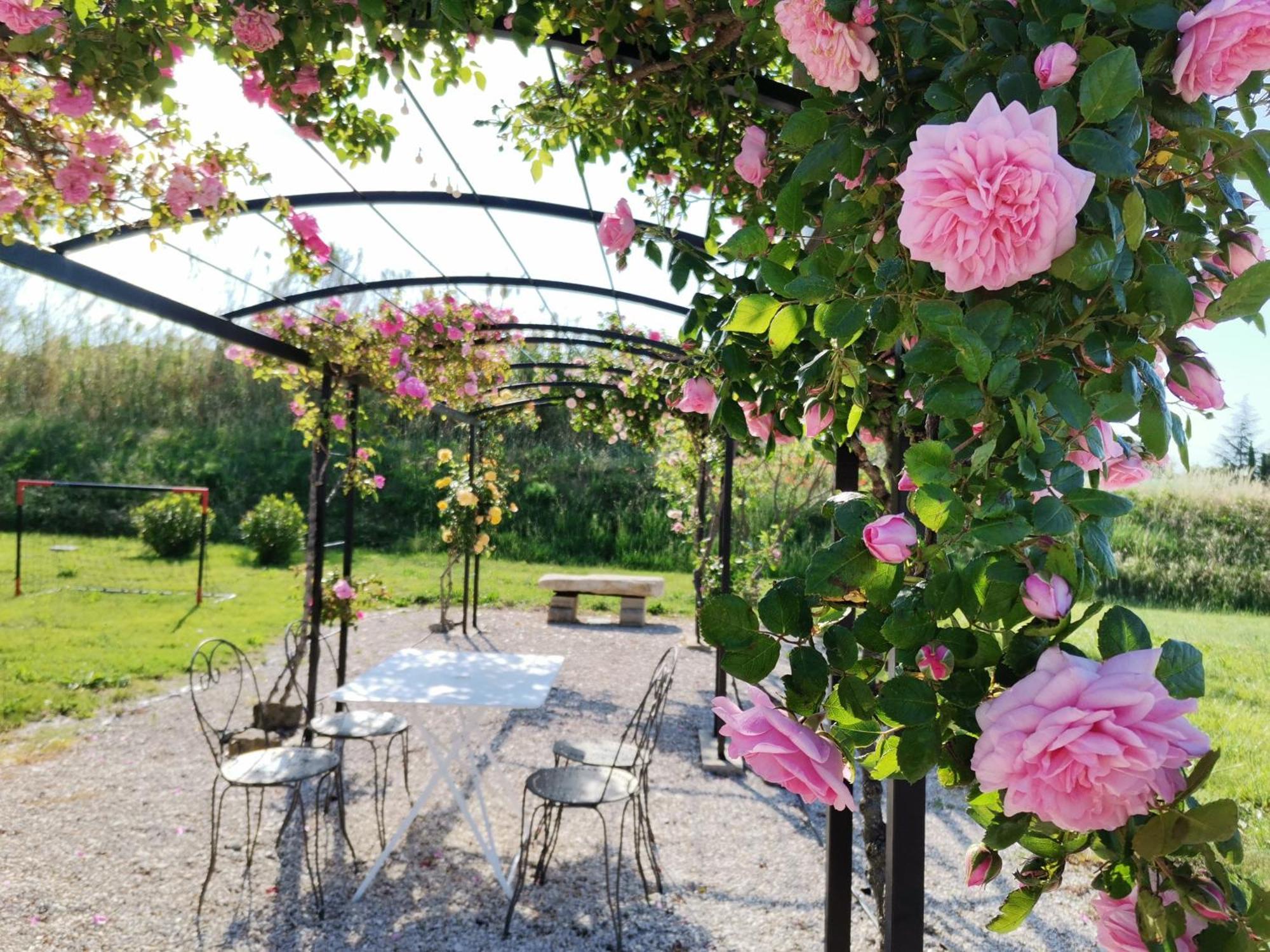 Gite En Provence "Rose" Modene エクステリア 写真